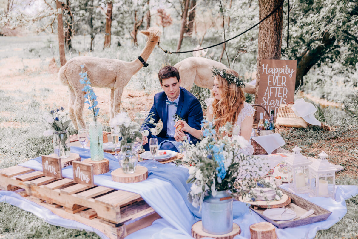 An intimate elopement at Zion Springs, an all-inclusive wedding venue in Virginia.