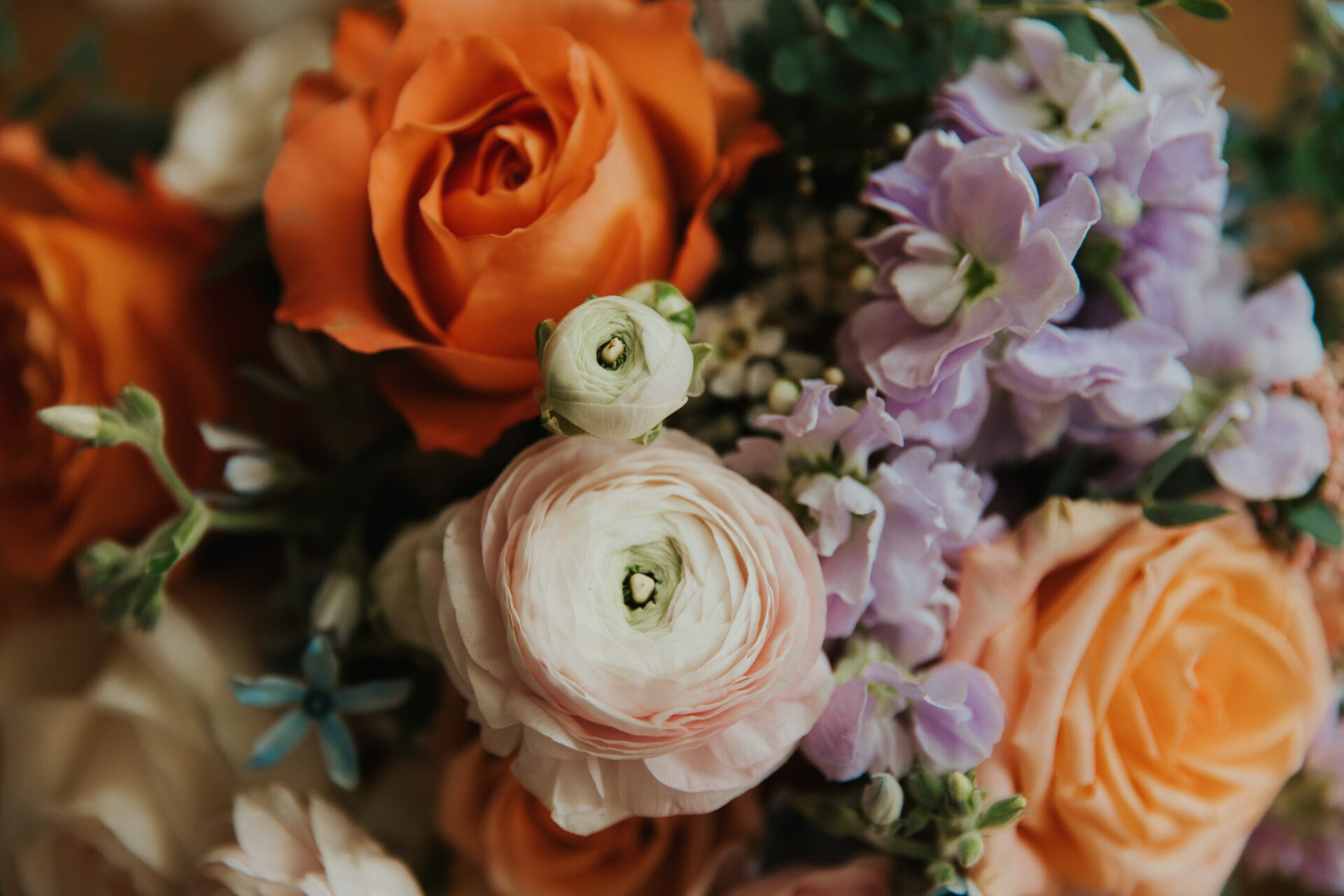 bride's bouquet of orange roses and pink rununculas with purple hydrangea