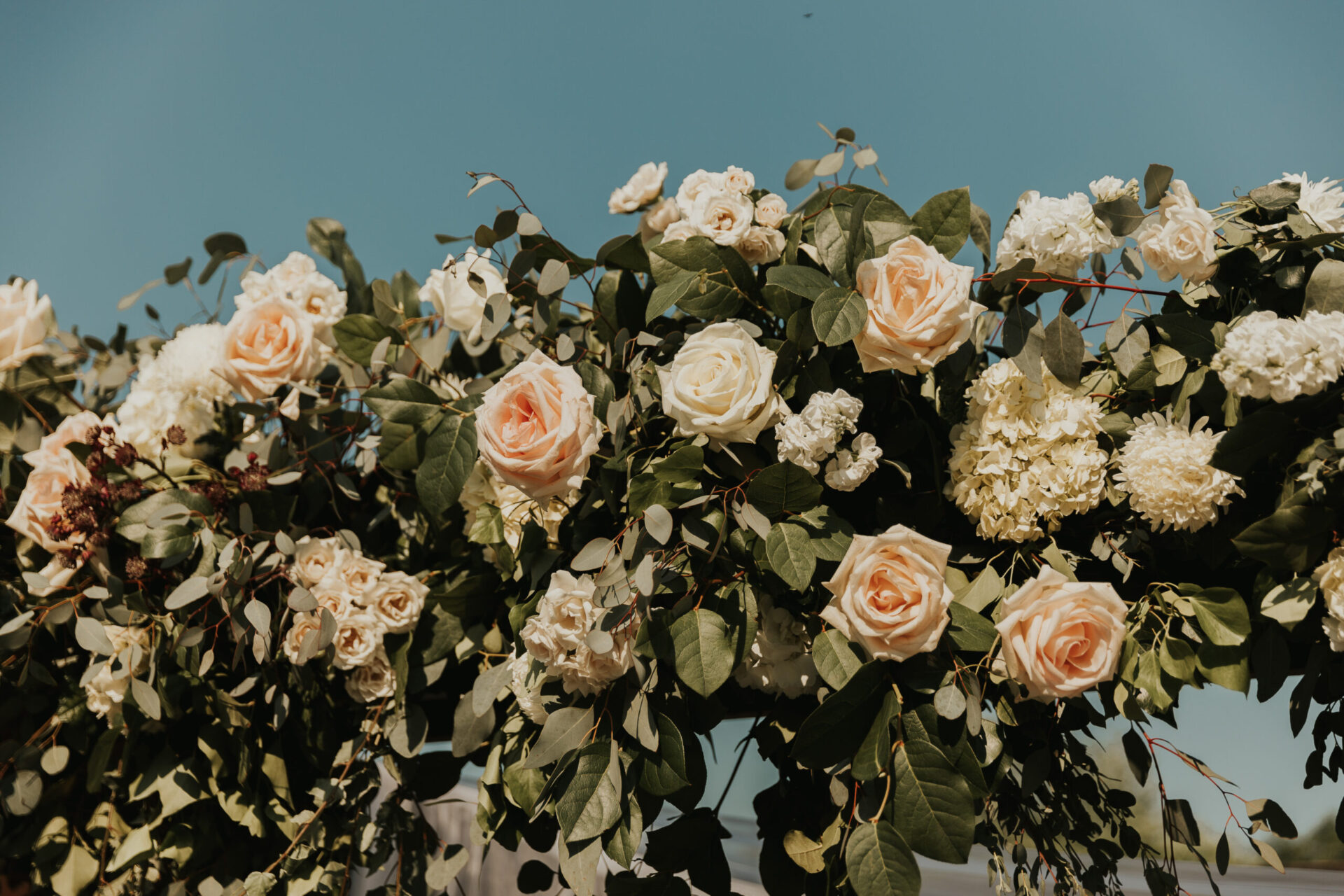 Zion Springs wedding flowers arrangement on pergola roses hydrangeas, sweetpeas