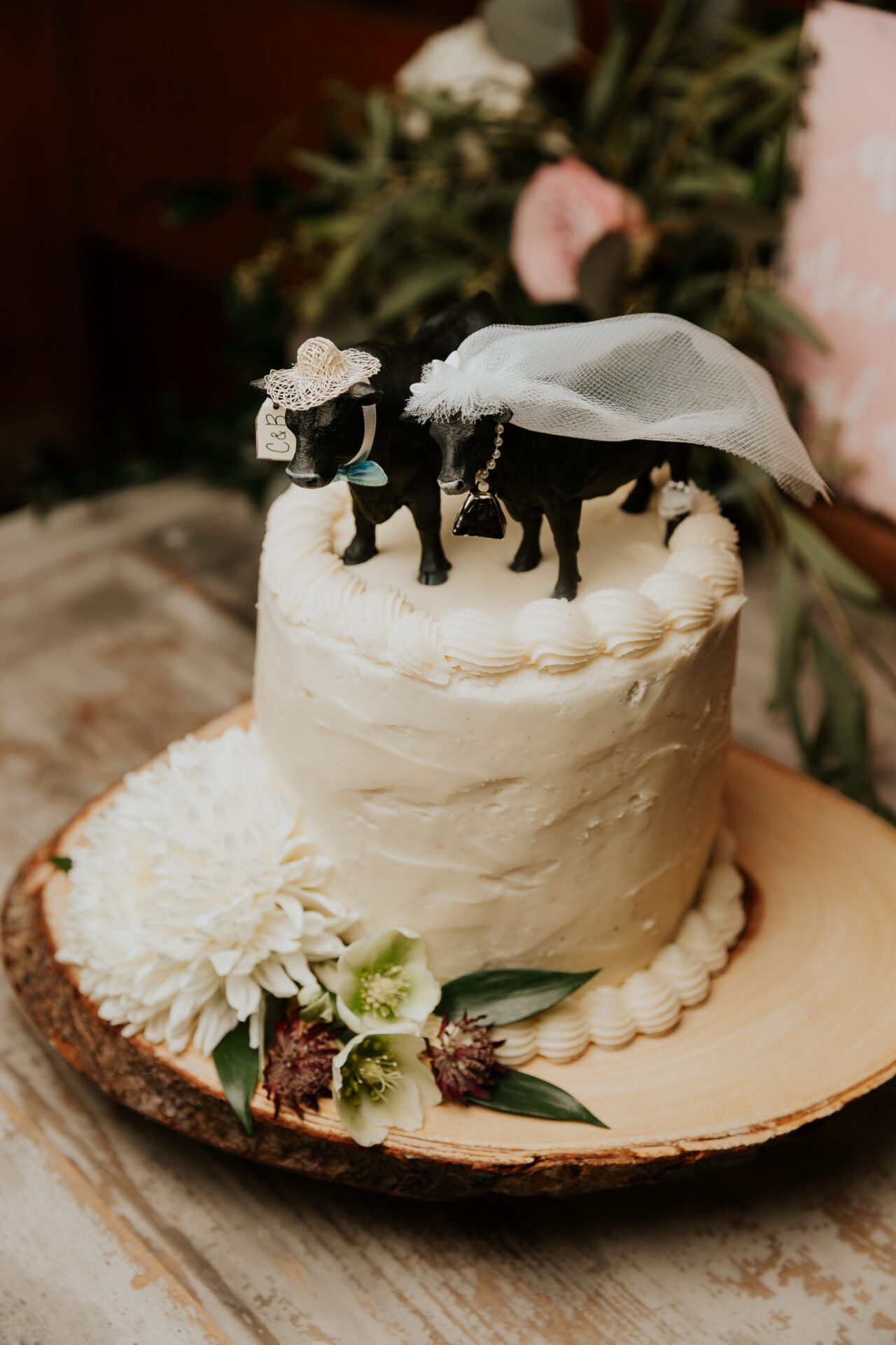 Zion Springs white wedding cake with black cow figurines