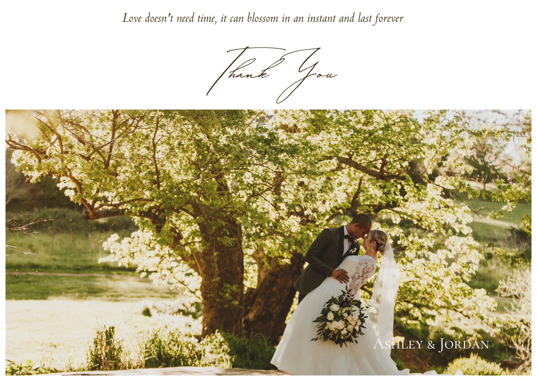 zion springs thank you card with bride and groom in front of great maple tree