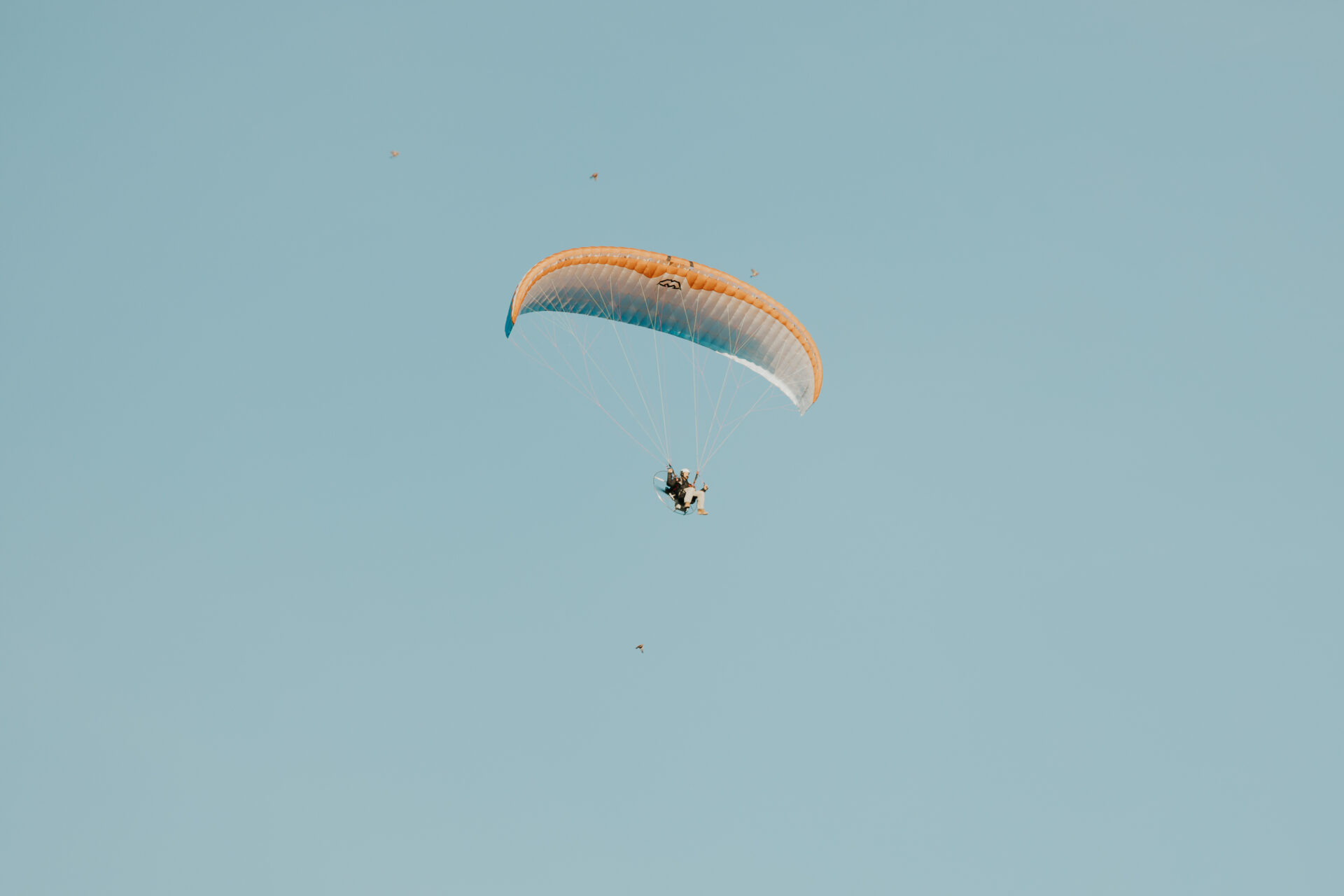 Zion Springs paraglider over rustic barn wedding venue