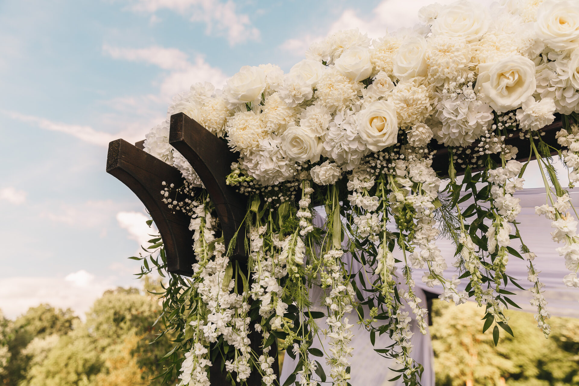 white flowers draped on pergola