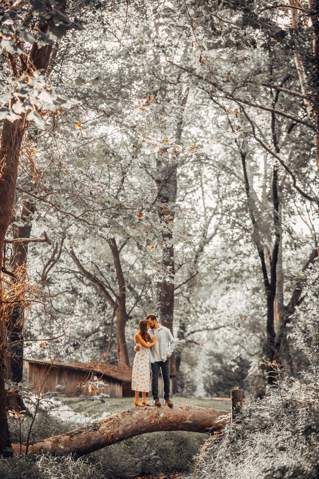 engaged couple, wooded background